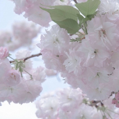 Furry绘画改稿技巧福瑞交流群